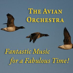 Fantastic Music for a Fabulous Time!